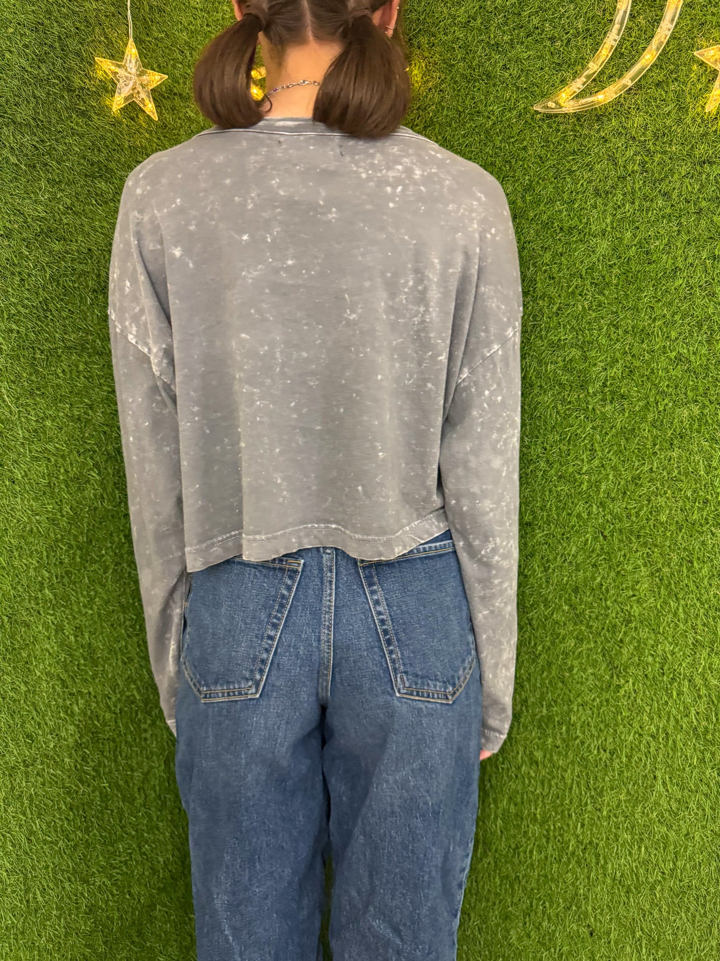 Mushroom Dino Grey Cropped Long Sleeve L