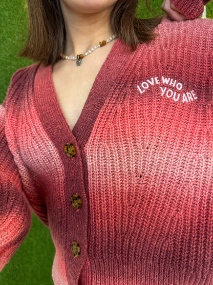 Love Who You Are Button Up V-Neck Sweater XS