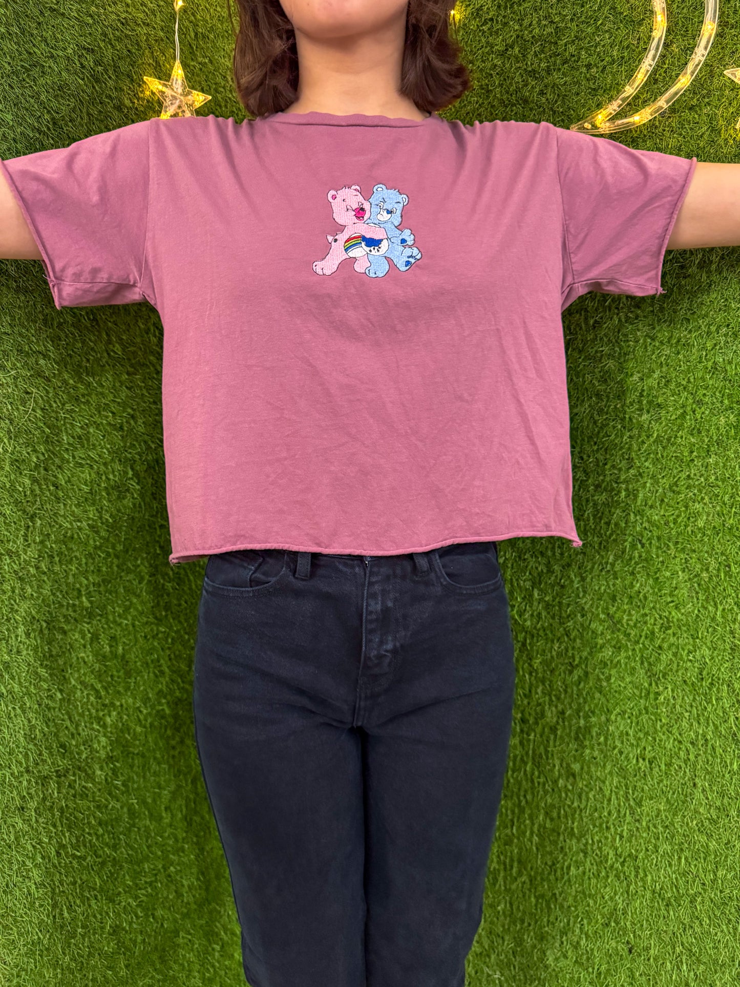 Care Bear Mauve Cropped T-Shirt L